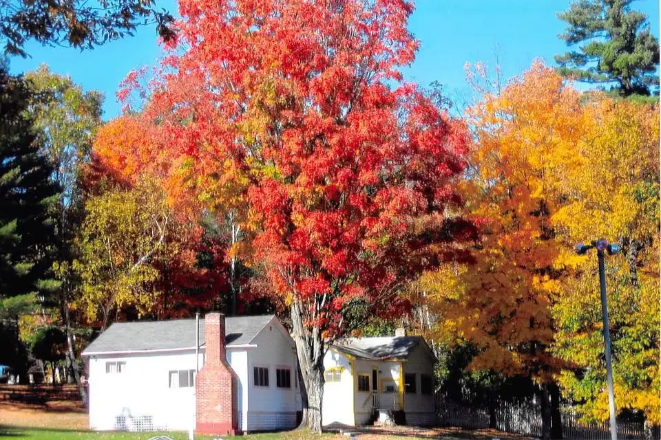 Limited Fall Availability